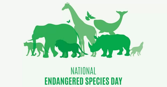 Leather’s Silent Victims: The Endangered Species We’re Losing for Fashion