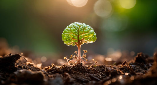 Nature: The Original Scientist