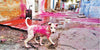 Protecting Street Animals During Holi: A Call for Compassion