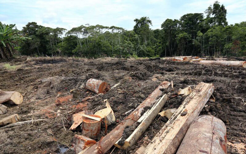 The Hidden Cost of Coffee vs. Ethical Living: Why Vyakti India Cares