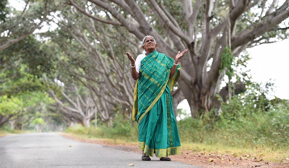 Saalumarada Thimmakka: The 114-Year Journey of a Tree Mother