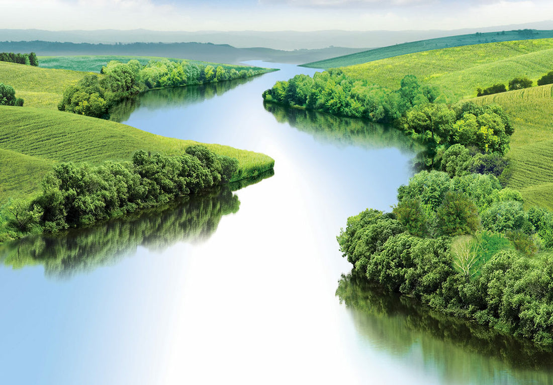 Protecting Rivers, Celebrating Life