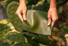 Beyond Fashion: Plant-Based Leather Sprouts into Diverse Industries