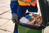 World Cleanup Day: Small Actions, Big Impact