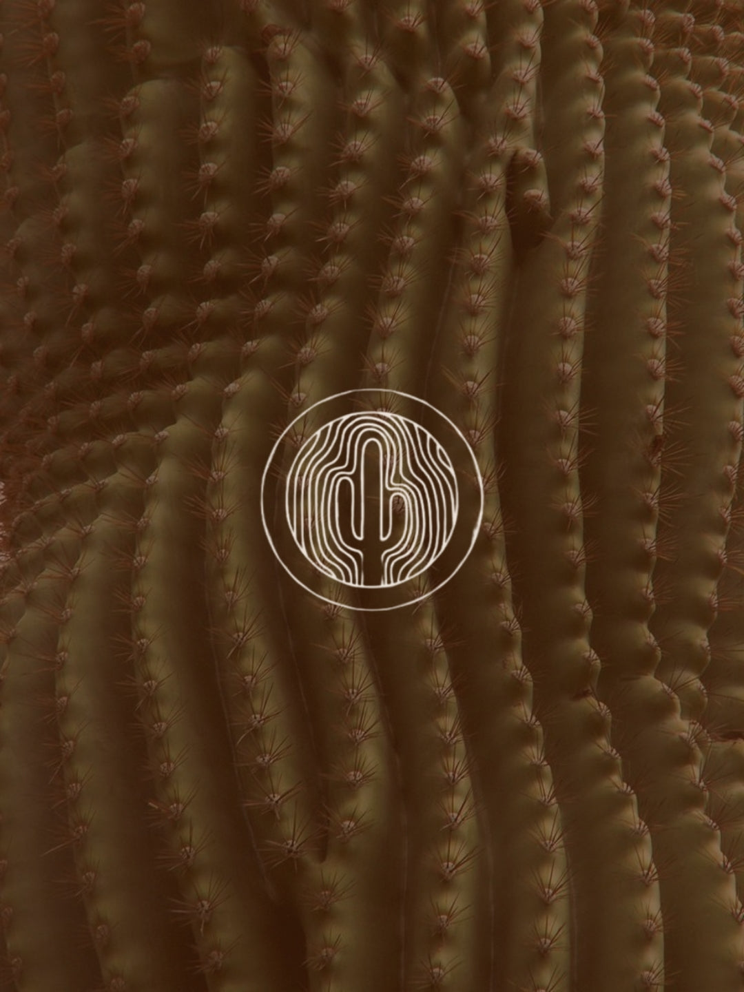 Cactus leather