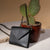'लिफ़ाफ़ा'- Lifafa Sling Wallet